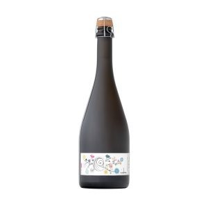paccot cidre pomme coing apple cider siradis